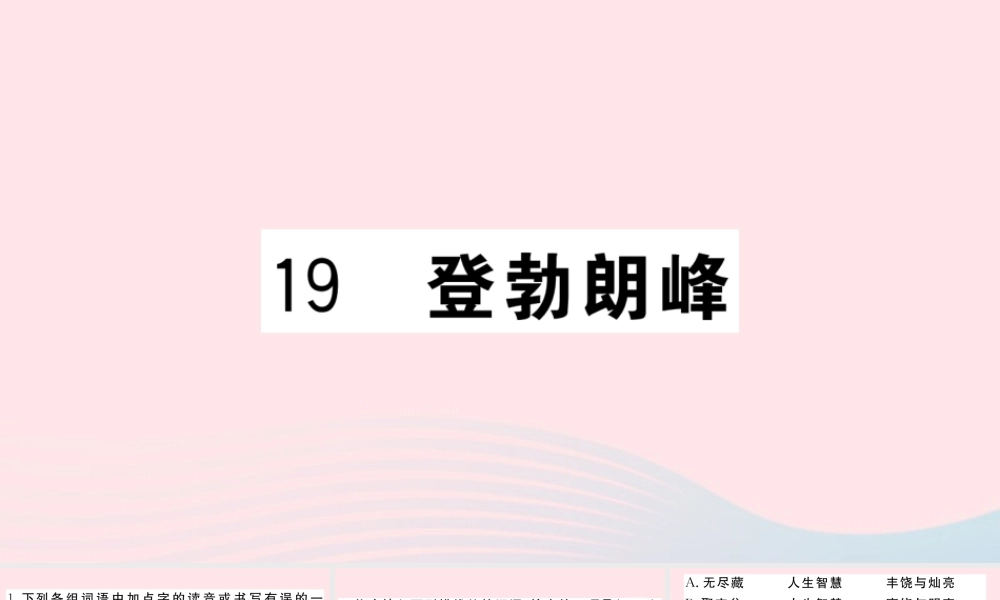 (武汉专版)八年级语文下册 第五单元 19 登勃朗峰习题课件 新人教版 课件