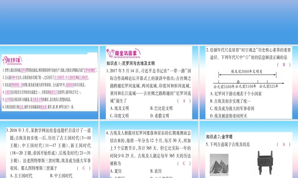 2018秋九年级历史上册 第1单元 古代亚非文明 第1课 古代埃及习题课件 新人教版 课件