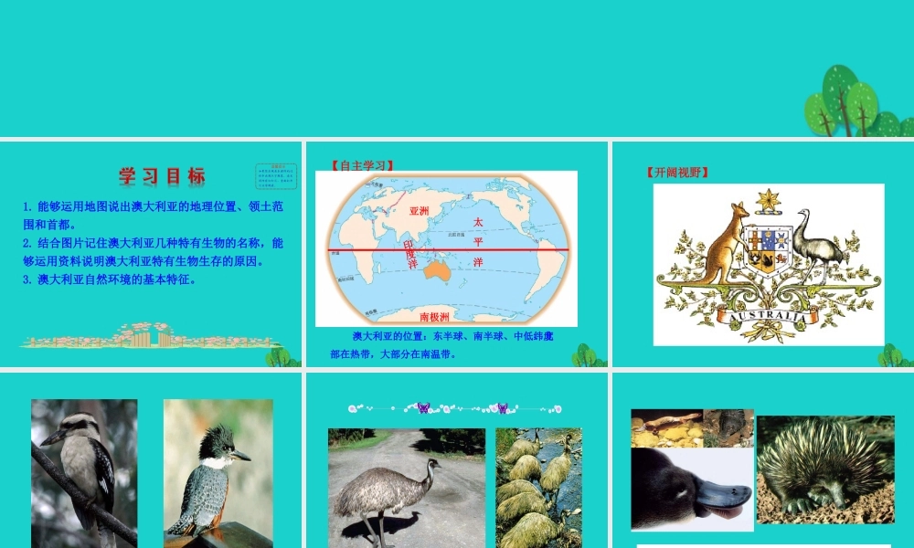 七年级地理下册 第八章 第四节 澳大利亚(一世界活化石博物馆 自然地理环境)课件 七年级地理下册 第八章 第四节 澳大利亚课件+素材(新版)新人教版