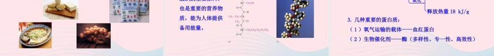 九年级化学全册 第四单元 化学与健康 第一节 食物中的有机物课件 鲁教版五四制 课件