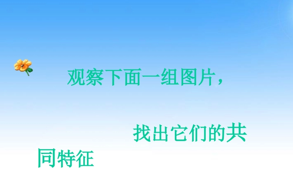 七年级历史与社会上册 第二单元第二课(自然环境)课件 人教新课标版 课件