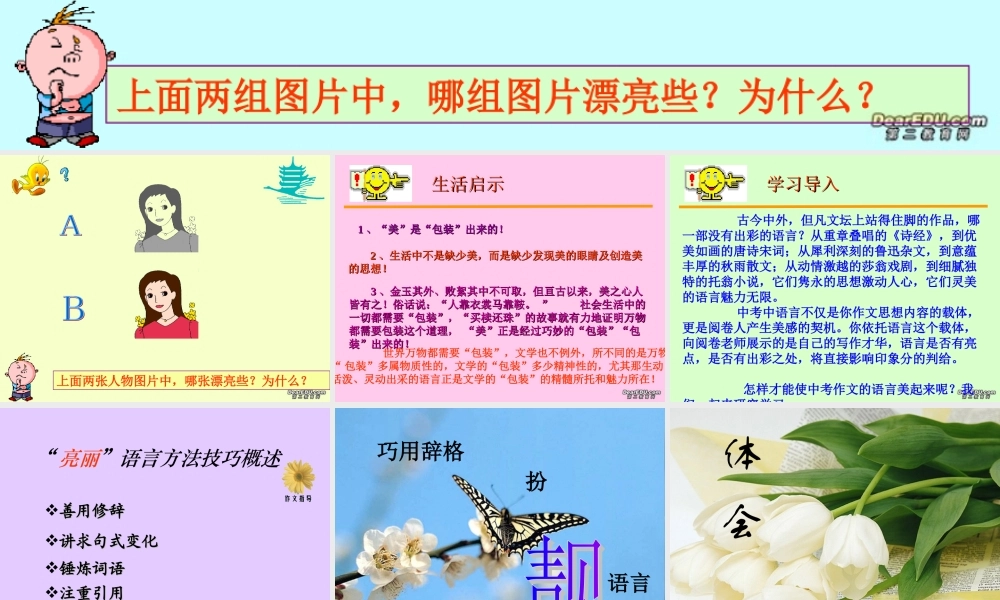 中考语文写作专题之锤炼语言 新课标 人教版 试题