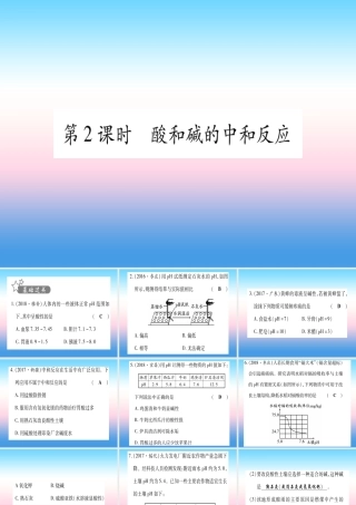 (甘肃专用)中考化学 第10单元 酸和碱 第2课时 酸和碱的中和反应(提分精练)课件