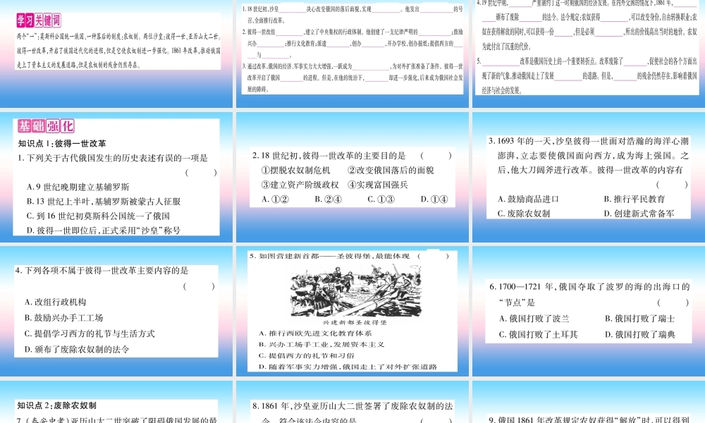 九年级历史下册 第1单元 殖民地人民的反抗与资本主义制度的扩展 第2课 俄国的改革自学课件 新人教版 课件