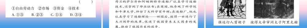 九年级历史下册 第1单元 殖民地人民的反抗与资本主义制度的扩展 第2课 俄国的改革自学课件 新人教版 课件