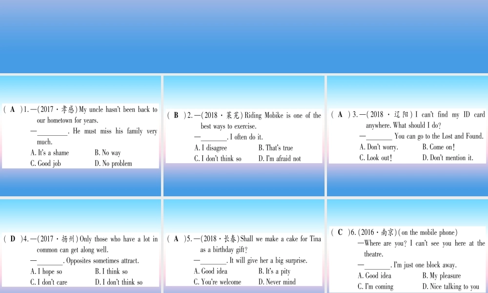 (湖北专用版)版中考英语专题高分练 专题突破十三 情景交际实用课件