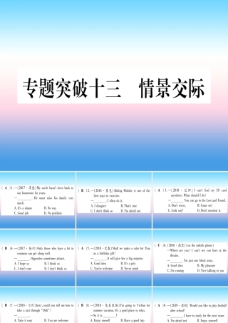 (湖北专用版)版中考英语专题高分练 专题突破十三 情景交际实用课件