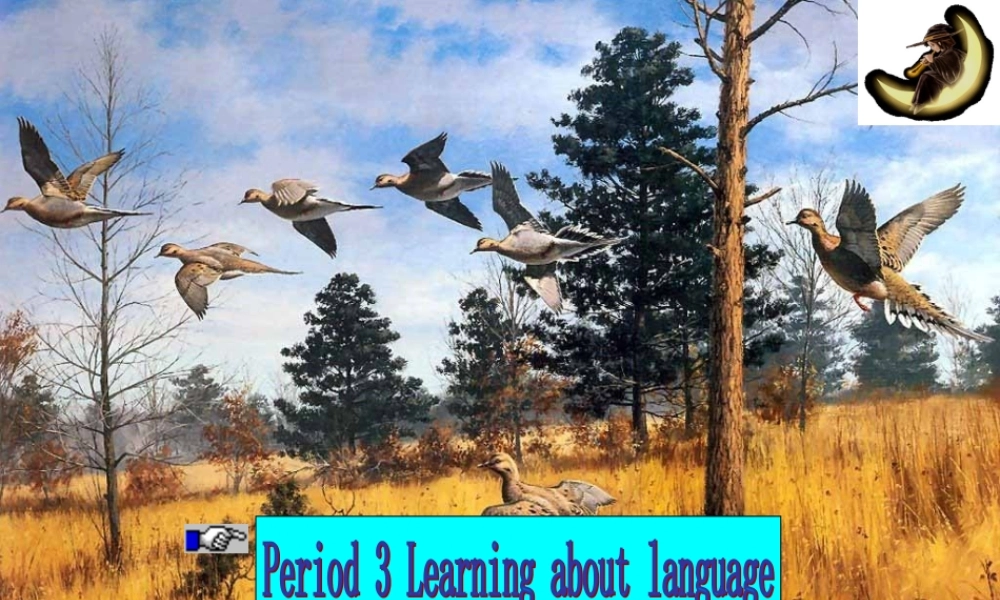 M2 Unit4 learning about languageP3 高一英语Unit4全单元课件[整理五个]新课标 人教版