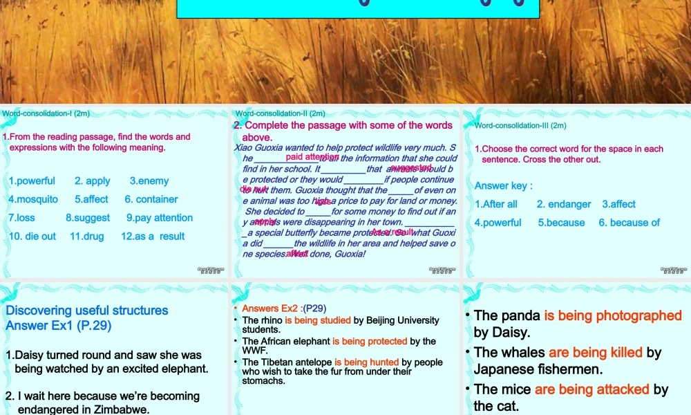 M2 Unit4 learning about languageP3 高一英语Unit4全单元课件[整理五个]新课标 人教版