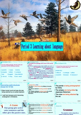 M2 Unit4 learning about languageP3 高一英语Unit4全单元课件[整理五个]新课标 人教版