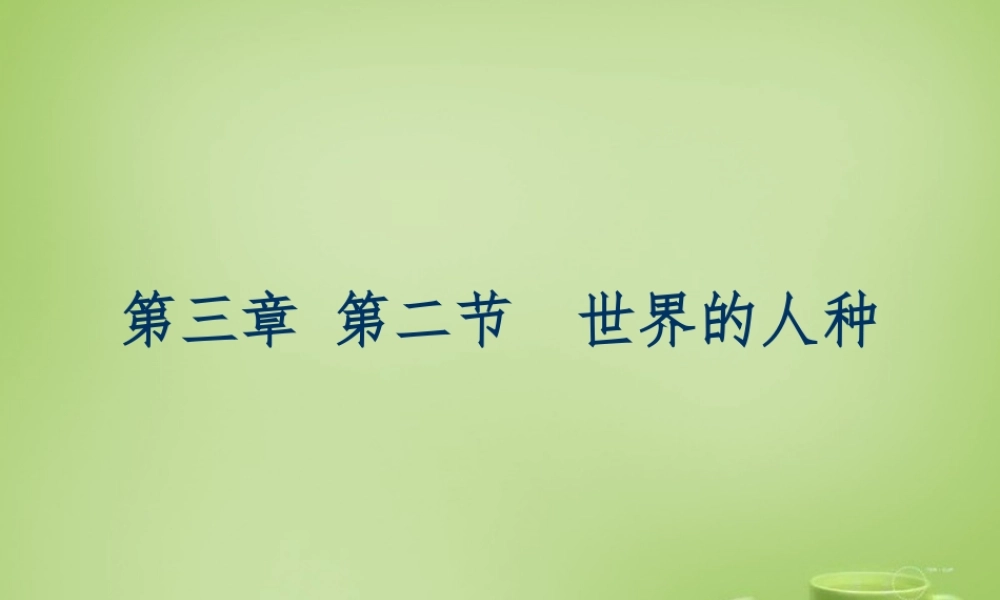 七年级地理上册 3.2 世界的人种课件2 湘教版 课件