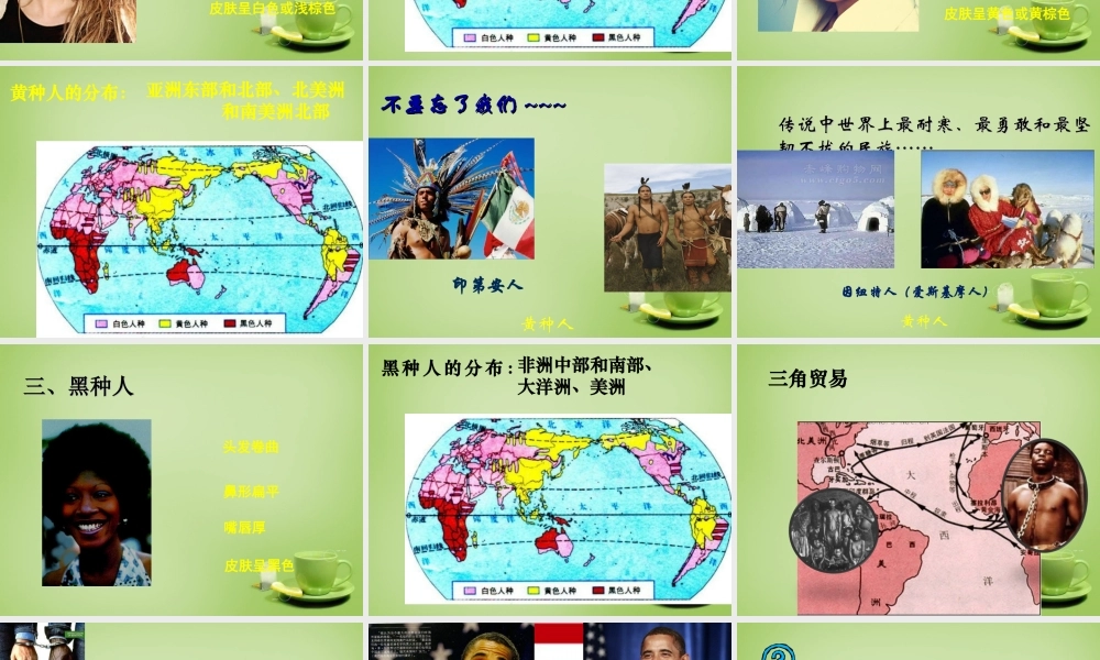 七年级地理上册 3.2 世界的人种课件2 湘教版 课件