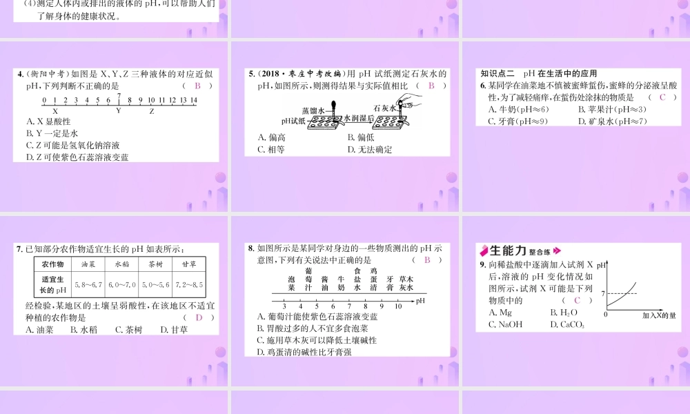 九年级化学下册 第10单元 酸和碱 课题2 酸和碱的中和反应 第2课时 溶液酸碱度的表示法 pH作业课件 (新版)新人教版 课件