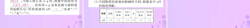 九年级化学下册 第10单元 酸和碱 课题2 酸和碱的中和反应 第2课时 溶液酸碱度的表示法 pH作业课件 (新版)新人教版 课件