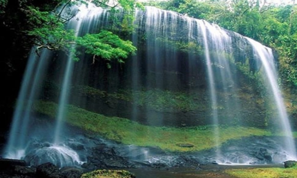 七年级政治上册 第一单元 正确认识自我 第一课 生命的乐章 亲近自然课件 陕教版 课件