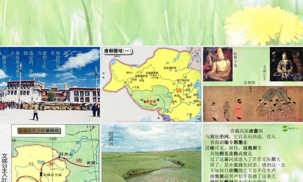 七年级历史下册 唐朝的民族关系课件 川教版 课件