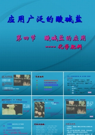 九年级化学 74酸碱盐的应用课件1 沪教版 课件