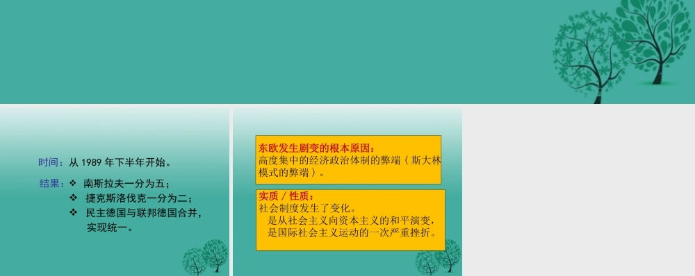 九年级历史下册 第11课(东欧社会主义国家的改革与演变)东欧的剧变课件 新人教版 010632
