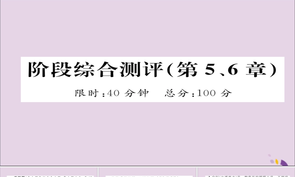 (遵义专版)中考化学总复习 第1编 教材知识梳理篇 阶段综合测评(第5、6章)课件