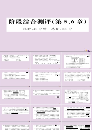 (遵义专版)中考化学总复习 第1编 教材知识梳理篇 阶段综合测评(第5、6章)课件