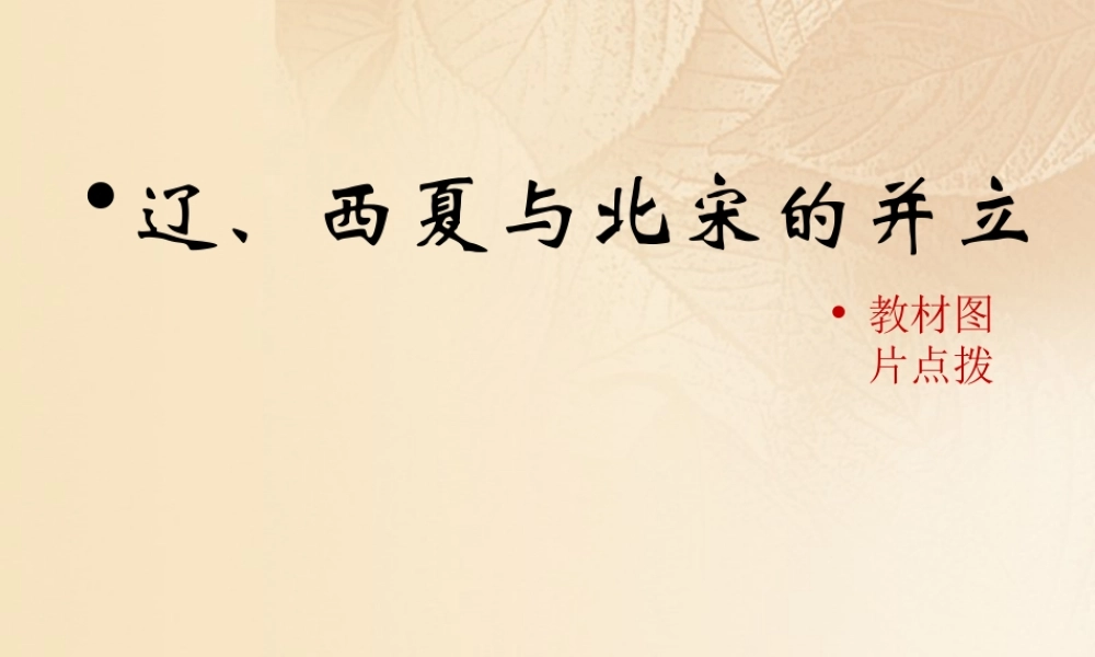 (秋季版)七年级历史下册 第二单元 辽宋夏金元时期：民族关系发展和社会变化 第7课(辽、西夏与北宋的并立)教材图片点拨素材 新人教版 素材