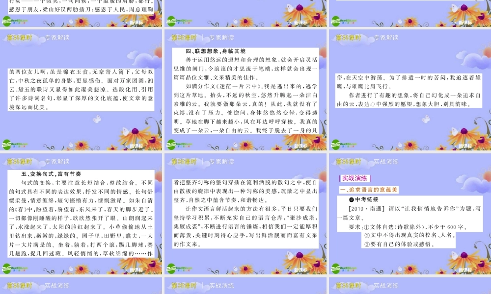 中考语文复习方案 (让语言鲜活起来)课件 人教新课标版 课件