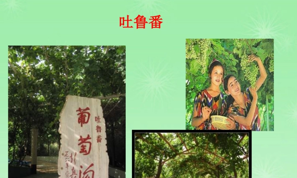 七年级历史 汉通西域和丝绸之路3课件 新人教版 课件