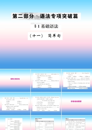 中考英语总复习 第二部分 语法专项突破篇 1基础语法(十一)简单句习题课件