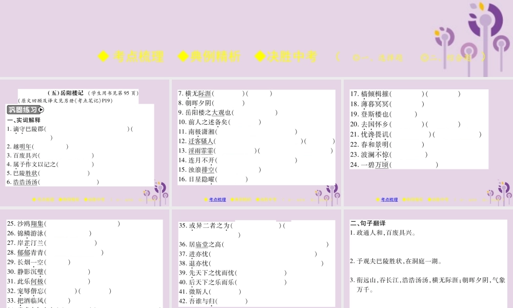 中考语文复习 第二部分 古诗文积累与阅读 专题二 文言文(五)(岳阳楼记)课件