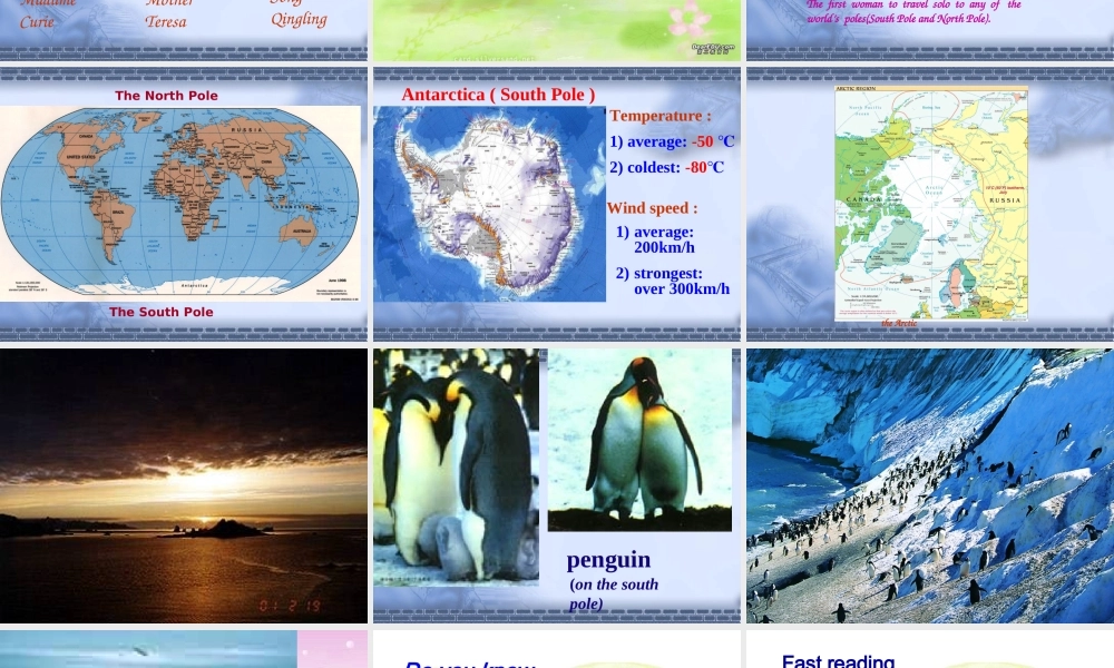 unit17 grammar 主谓一致 人教版 课件