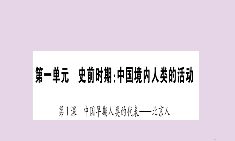 广西七年级历史上册 第1单元 史前时期 中国境内人类的活动 第1课 中国早期人类的代表—北京人课件 新人教版 课件