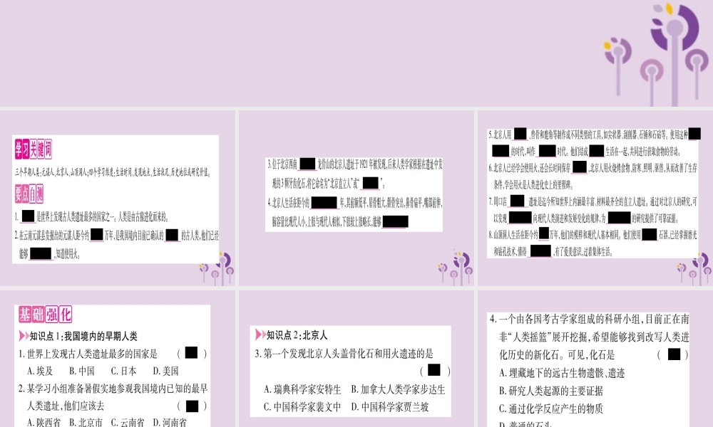 广西七年级历史上册 第1单元 史前时期 中国境内人类的活动 第1课 中国早期人类的代表—北京人课件 新人教版 课件