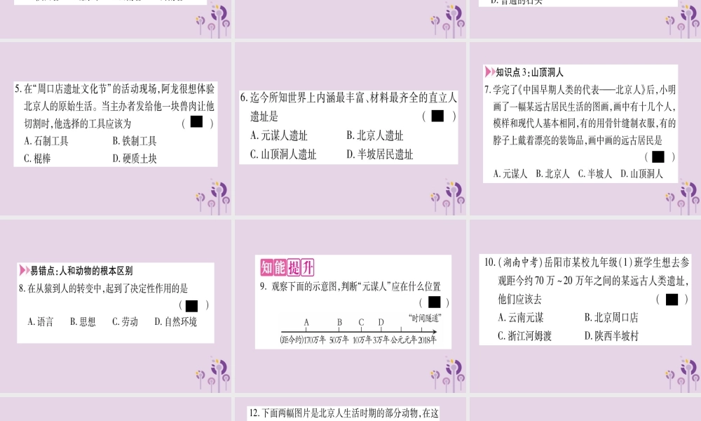 广西七年级历史上册 第1单元 史前时期 中国境内人类的活动 第1课 中国早期人类的代表—北京人课件 新人教版 课件
