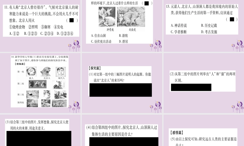 广西七年级历史上册 第1单元 史前时期 中国境内人类的活动 第1课 中国早期人类的代表—北京人课件 新人教版 课件