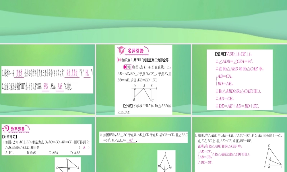 (江西专用)八年级数学上册 第12章 全等三角形 12.2 三角形全等的判定 第4课时 HL作业课件 (新版)新人教版 课件