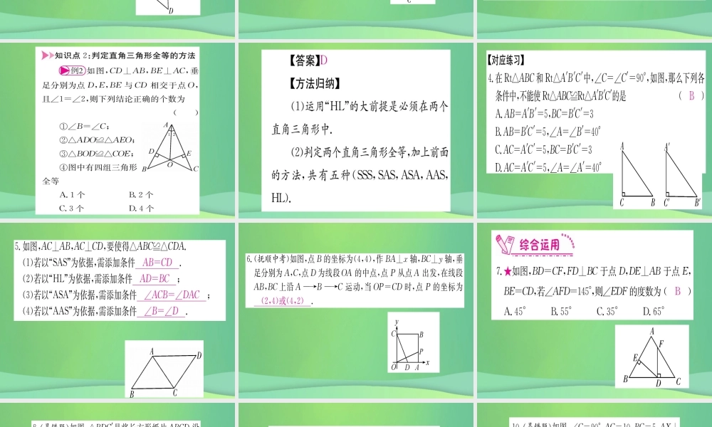 (江西专用)八年级数学上册 第12章 全等三角形 12.2 三角形全等的判定 第4课时 HL作业课件 (新版)新人教版 课件