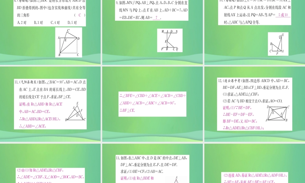 (江西专用)八年级数学上册 第12章 全等三角形 12.2 三角形全等的判定 第4课时 HL作业课件 (新版)新人教版 课件