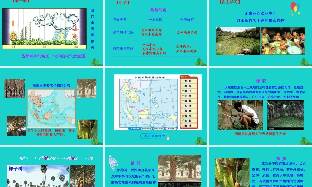 七年级地理下册 第七章 第二节 东南亚(一 十字路口的位置 热带气候与农业生产)课件 七年级地理下册 第七章 第二节 东南亚课件+素材(新版)新人教版