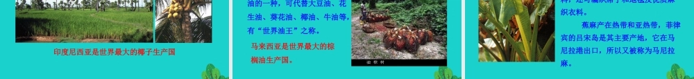 七年级地理下册 第七章 第二节 东南亚(一 十字路口的位置 热带气候与农业生产)课件 七年级地理下册 第七章 第二节 东南亚课件+素材(新版)新人教版