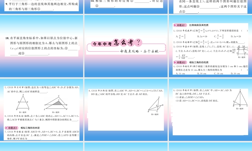 (课标版通用)中考数学一轮复习 第7章 图形与变换 第28节 图形的相似与位似习题课件