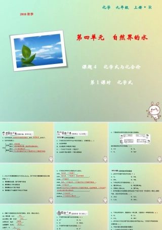 九年级化学上册 第4单元 自然界的水 课题4 化学式与化合价 第1课时 化学式作业课件 (新版)新人教版 课件