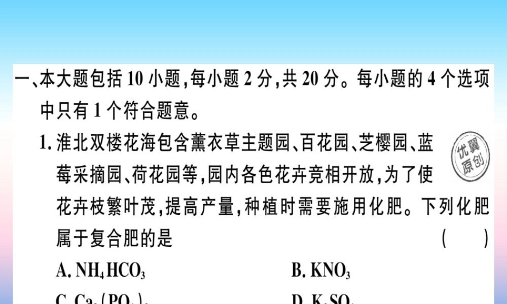 九年级化学下册 第十一单元 盐 化肥检测卷习题课件 新人教版 课件
