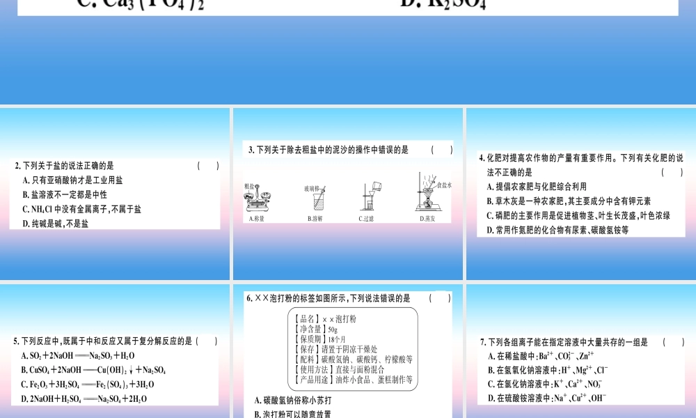 九年级化学下册 第十一单元 盐 化肥检测卷习题课件 新人教版 课件