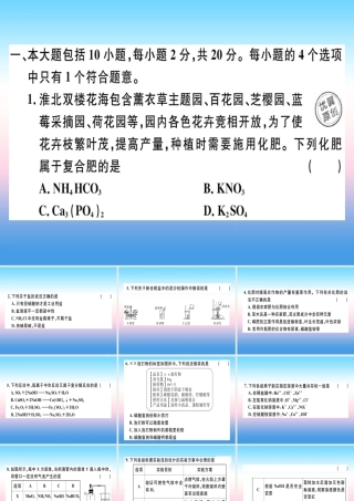 九年级化学下册 第十一单元 盐 化肥检测卷习题课件 新人教版 课件