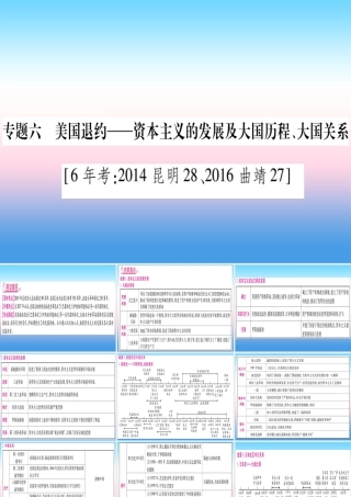 (云南专用)中考历史总复习 第2篇 知能综合提升 专题6 美国退约—资本主义的发展及大国历程、大国关系课件