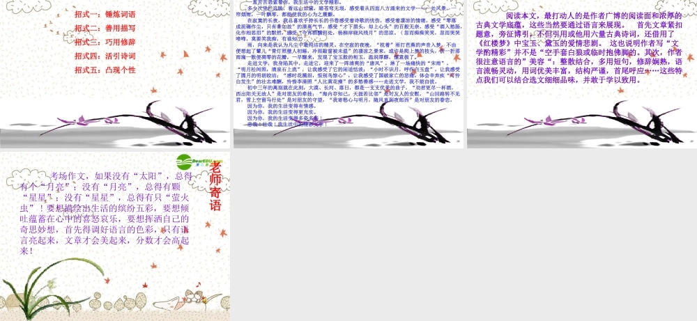 中考语文作文复习 拿什么来打动阅卷老师课件