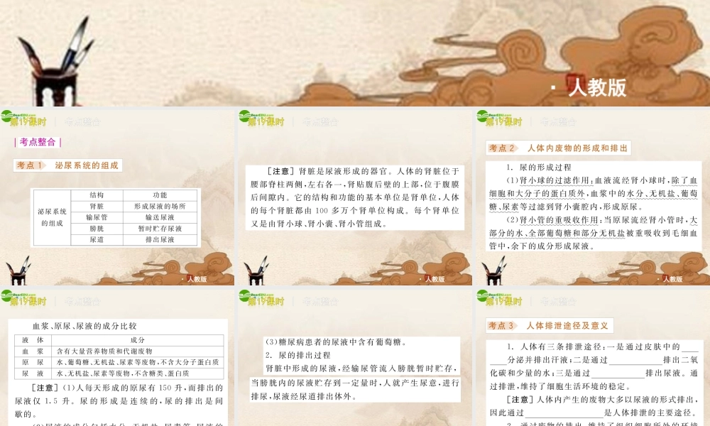 中考生物复习方案 第19课时人体内的废物排出课件 人教新课标版 课件