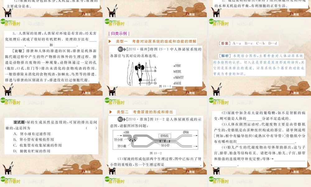 中考生物复习方案 第19课时人体内的废物排出课件 人教新课标版 课件