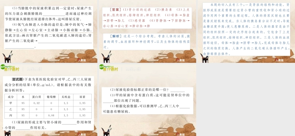 中考生物复习方案 第19课时人体内的废物排出课件 人教新课标版 课件