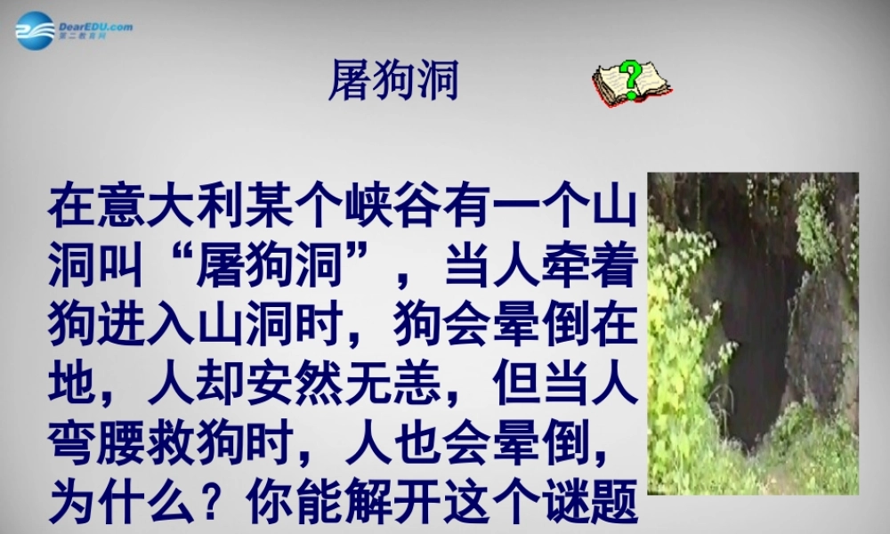 九年级化学全册 22 奇妙的二氧化碳课件 (新版)沪教版 课件